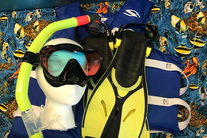 Snorkel Gears near Hanauma Bay - Foggy goggles and comfort fixes you can use right away