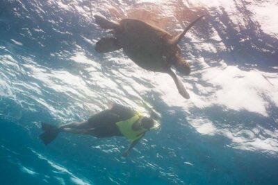 Snorkel with Turtles - What’s included (and what you’ll need to bring)