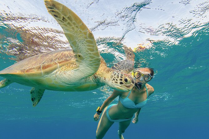 Snorkeling with Turtle/Water Scooter/Paddleboard Adventures Oahu - Group Size, Pickup, and Guide Support: Why This Feels Manageable