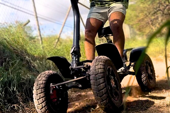 Stand Up ATV/Quad Jungle Trail Adventure - Riding with a friend: camaraderie without the coordination stress