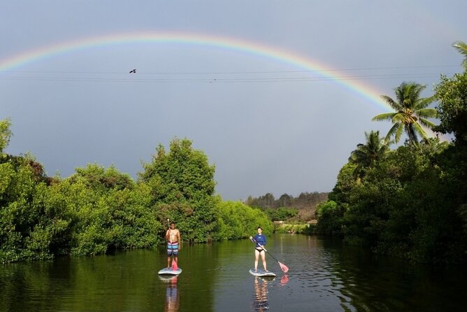 Stand Up Paddle Nature and Turtle tour-Guaranteed to see turtles - Key highlights you should know before you go