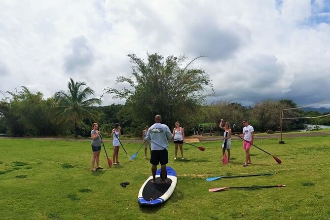 Stand Up Paddle Nature and Turtle tour-Guaranteed to see turtles - Small group SUP means you learn faster and notice more