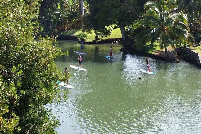 Stand Up Paddle Nature and Turtle tour-Guaranteed to see turtles - Weather, timing, and how to pick your tour slot