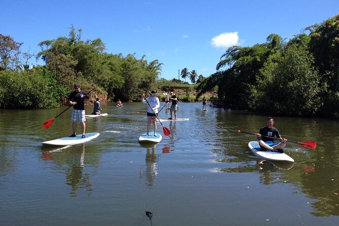 Stand Up Paddle Nature and Turtle tour-Guaranteed to see turtles - Who should book this SUP and turtle tour (and who might pass)