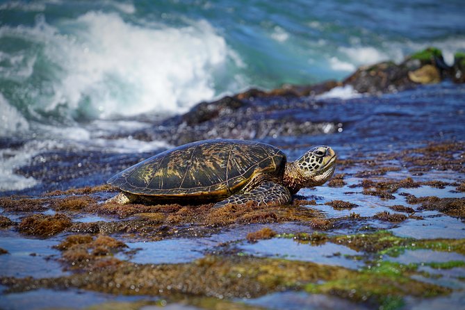 Sunrise Plus Island Tour - What you’ll carry (and what you can leave behind)