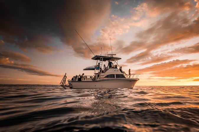 Sunset Cruise along Waikiki Coastline - Getting on board: where Ocean Therapy Charters meets you