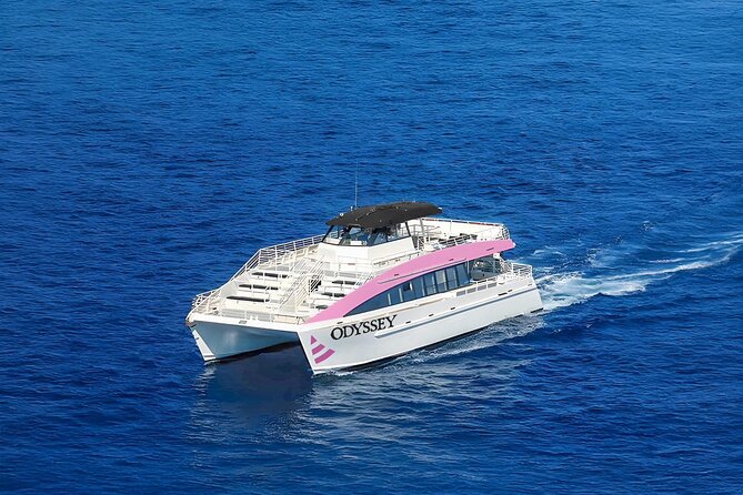Sunset Cruise & Whale Watching from Oahu - Price and value: what $61.19 buys you