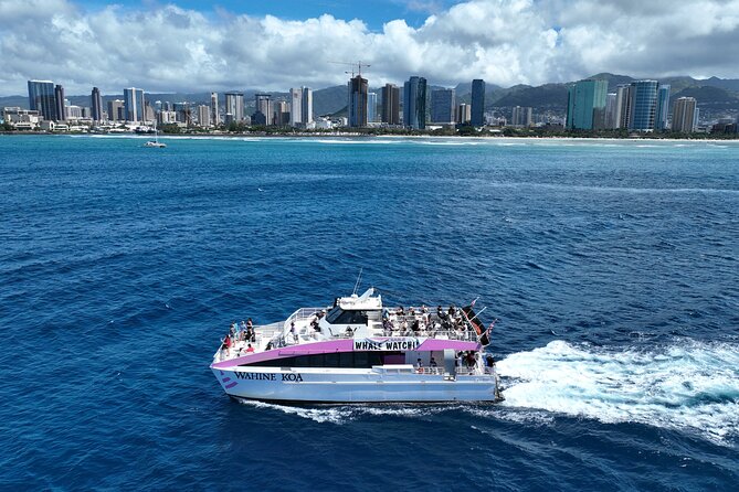 Sunset Cruise & Whale Watching from Oahu - Who this sunset whale watch fits best