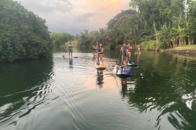 Sunset Stand Up Paddle with Photos and Turtles - Sunset SUP: the part you’ll remember (pink to purple skies)
