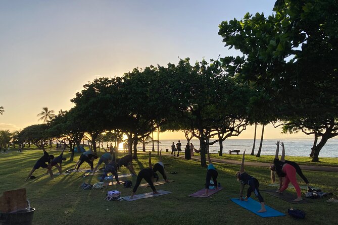 Sunset Yoga Flow at Magic Island - Where exactly is Magic Island yoga, and how do you find it?