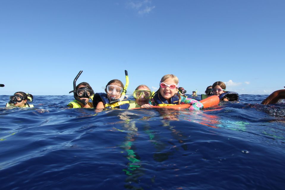 Swim with Wild Dolphins Oahu Speedboat Snorkeling Adventure! - Dolphin Warrior logistics: where you start and why pickup matters