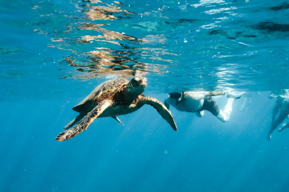 Swim with Wild Dolphins Oahu Speedboat Snorkeling Adventure! - Views from the water: cruising the west side of Oahu