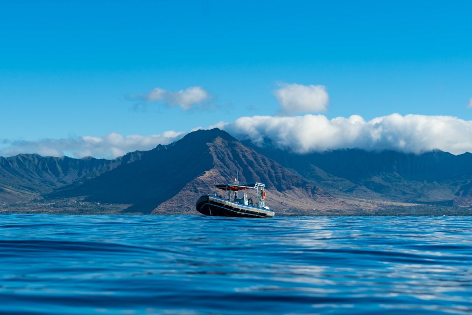 Swim with Wild Dolphins Oahu Speedboat Snorkeling Adventure! - What to pack: the small stuff that changes the day