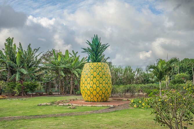 "The Dole Plantation" & "North Shore" Private Limousine VIP Tour! - A private limo schedule that keeps the day from getting chaotic