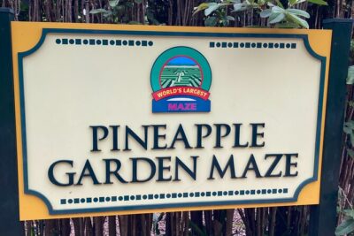 "The Dole Plantation" & "North Shore" Private Limousine VIP Tour! - Haleiwa and the shrimp trucks: where the day turns from sights to tastes