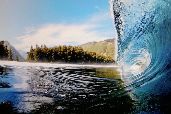 "The Dole Plantation" & "North Shore" Private Limousine VIP Tour! - Should you book it? My honest recommendation