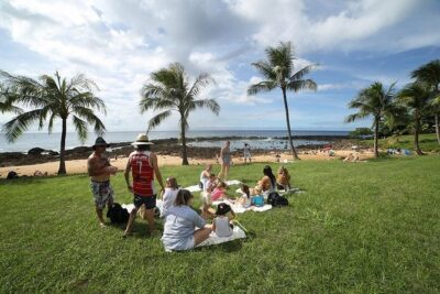 Transportation to North Shore - The 8-Hour North Shore Plan: Beaches, Parks, and Weather Flex