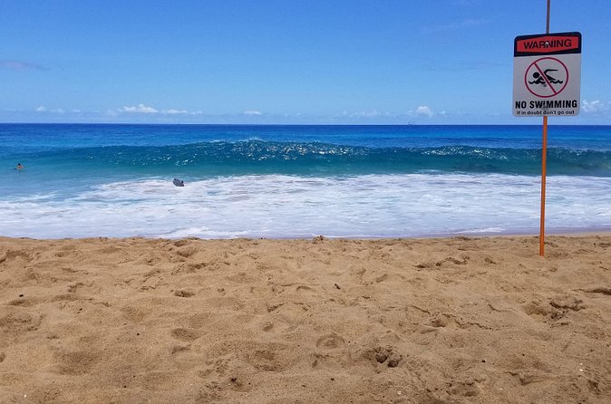 Transportation to North Shore - Value Check: When This Trip Makes Sense