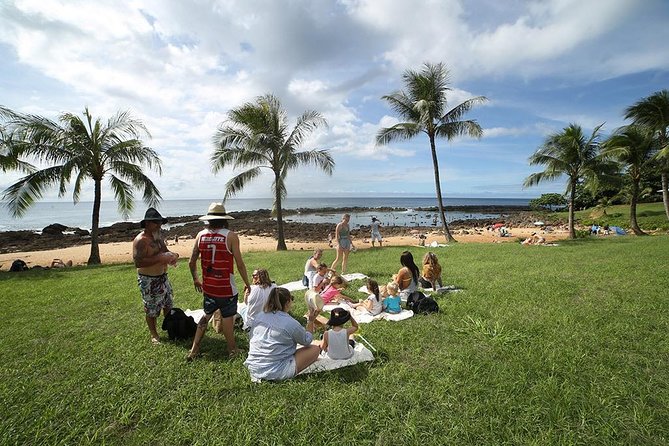 Transportation to North Shore - The 8-Hour North Shore Plan: Beaches, Parks, and Weather Flex