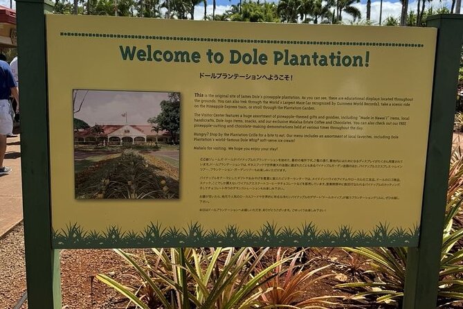 Turtle Snorkeling and Dole Plantation Guided Tour In Oahu - Practical tips for a smooth Turtle + Dole + Coffee day