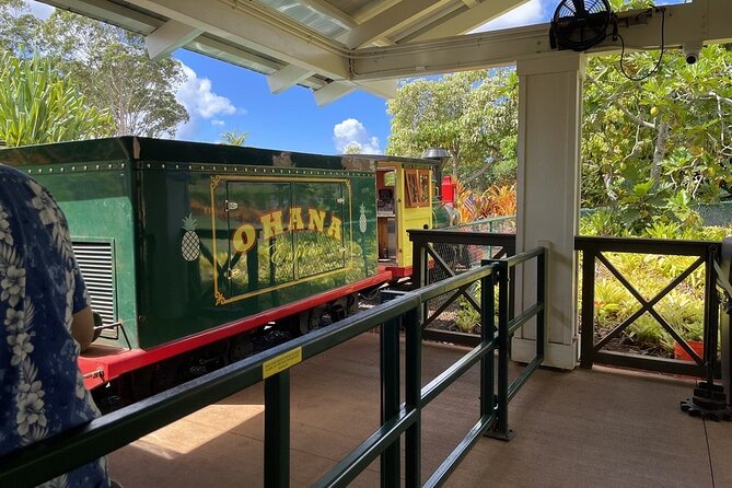 Turtle Snorkeling and Dole Plantation Guided Tour In Oahu - Should you book this Oahu combo tour?