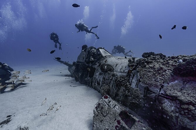 Two Tank Wreck and Drift Dive in Oahu - Meeting Island Divers Hawaii at 7:30 am (and keeping logistics simple)