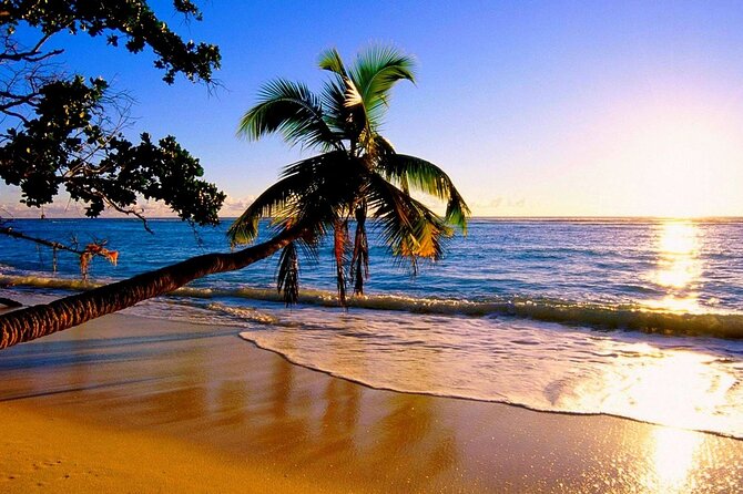 Ultimate North Shore Adventure: Full-Day Hawaiian Experience - Green World Coffee Farms: Kona coffee you can connect to