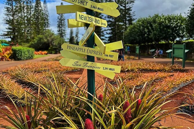Ultimate North Shore Adventure: Full-Day Hawaiian Experience - North Shore farm access, “Honus” turtles, and optional paddle fun