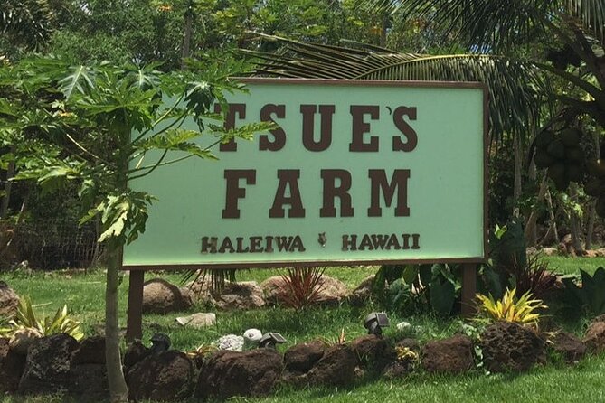 Ultimate North Shore Adventure: Full-Day Hawaiian Experience - Kawela Bay Beach: the rare turtle-and-sand bonus stop