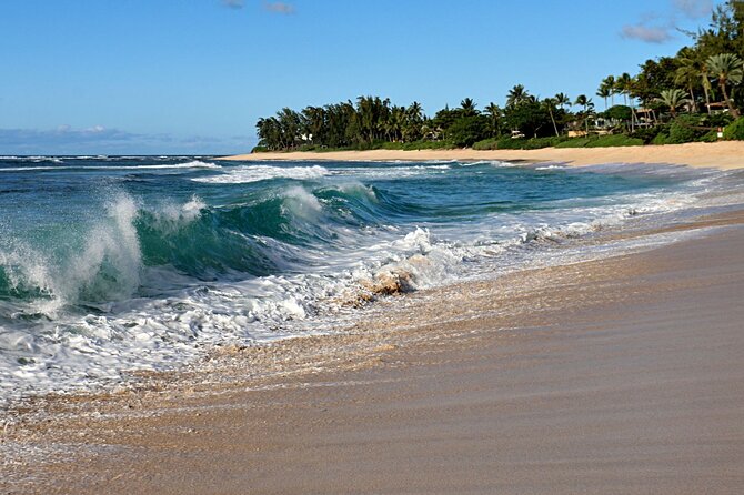 Unforgettable Day on Oahu | Small Group Circle Island Tour - Kahuku Lunch Stop: Food Trucks, Real North Shore Energy