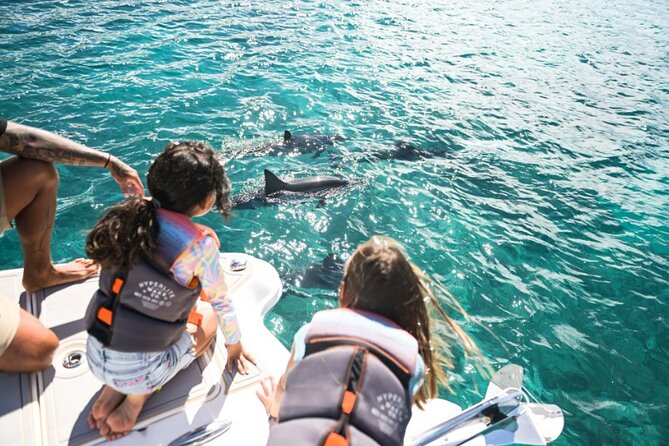 Venture Wildlife Snorkel Charter from Ko Olina - Water time and swimming energy: what it adds (and what to expect)