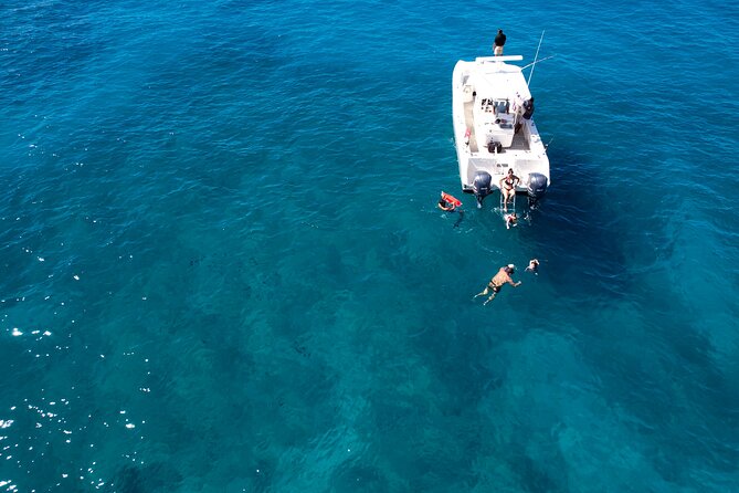 Venture Wildlife Snorkel Charter from Ko Olina - Price and value: why $995 can feel fair or feel steep