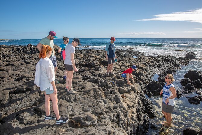 VIP Aloha Style Private Island Tour - Price and Value: When $987 per Group Makes Sense