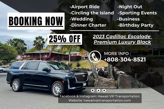 VIP Luxury Transfers: Honolulu Airport ↔ Waikiki ↔ Cruise Port - Add-ons that make sense: meet-and-greet, orchid lei, and car seats
