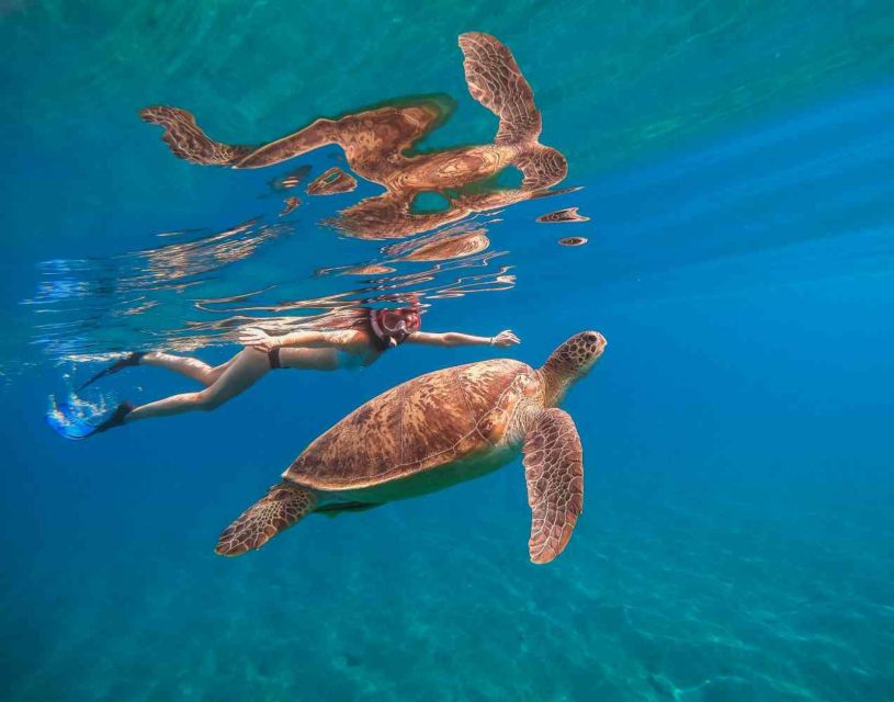 Waikiki: 5-in-1 Turtle Snorkeling Trip with Shuttle Option - Trampoline and the Long Water Slide (Plus a 20-Foot Jump)
