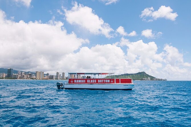 Waikiki Beach Glass Bottom Boat Cruise - The Crew Factor: Stories, Humor, and Clear Spotting