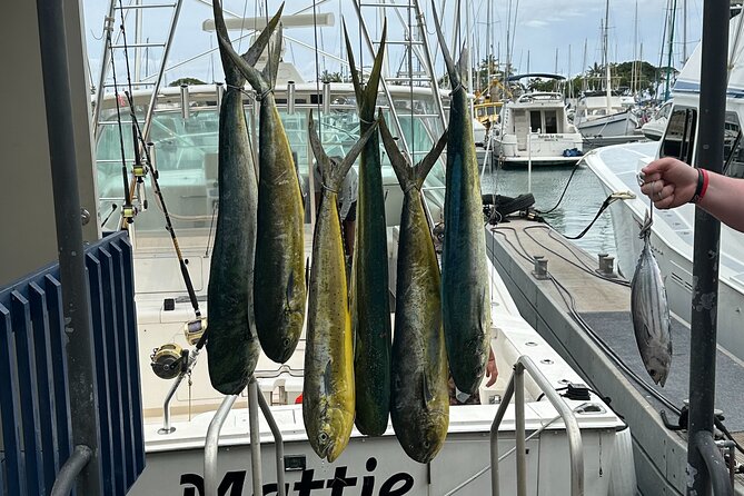 Waikiki Deep Sea Fishing Charter from Oahu - The boat experience on a 47 Cabo Express: comfort that helps you fish
