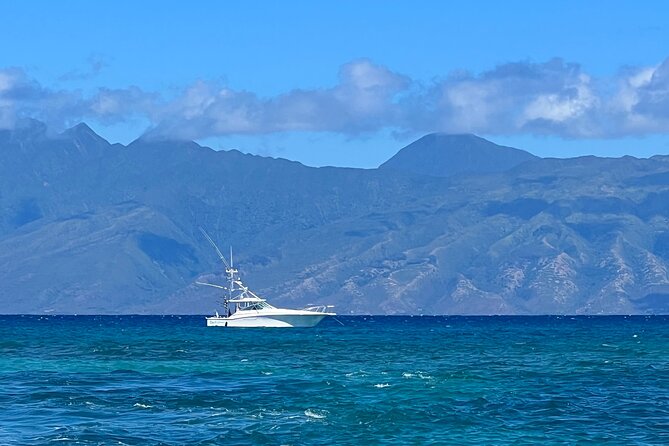 Waikiki Deep Sea Fishing Charter from Oahu - Getting there from Ala Moana: a straightforward start with an easy end