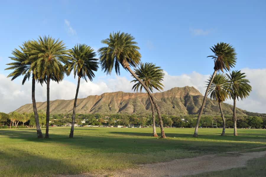 Waikiki: Diamond Head Hiking/ Hiking Starts at 7:00am. - Pickup timing and the real rhythm of the 3-hour tour