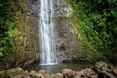 Waikiki Electric Bike Self Guided Tour- Manoa Falls Bike and Hike - Where you start and how the route is structured