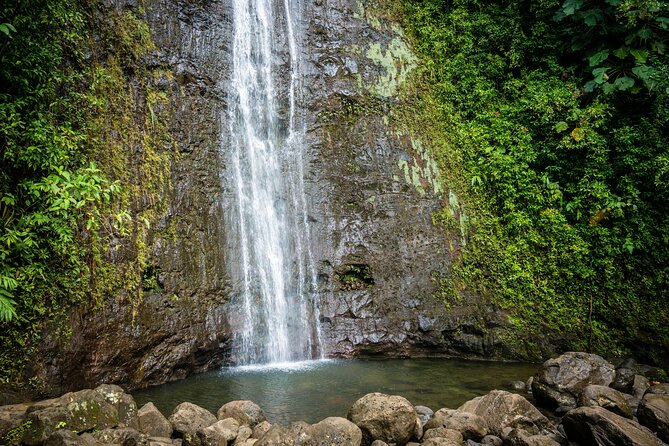 Waikiki Electric Bike Self Guided Tour- Manoa Falls Bike and Hike - Where you start and how the route is structured