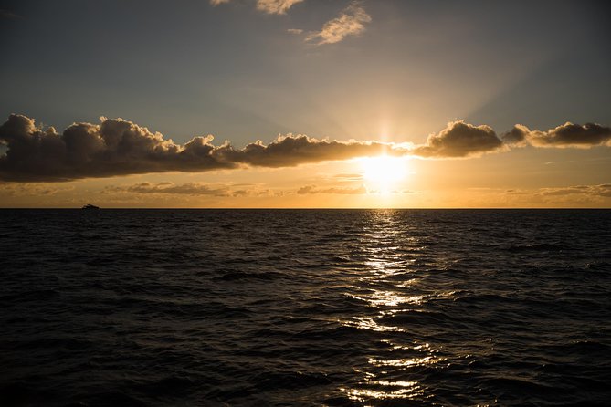 Waikiki Fireworks Dinner Cruise: Sail & Sparkle on Friday Nights - The Drink and Snack Experience: Two Tickets, Then Bar Options