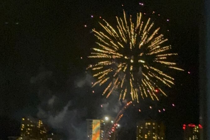 Waikiki Glass Bottom Boat Fireworks Tour - Marine-life viewing at night: what to look for (and what not to expect)
