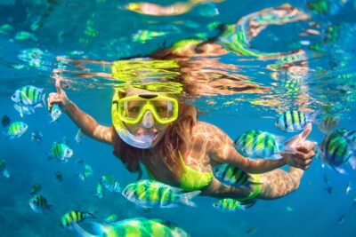 Waikiki Green Sea Turtle Snorkeling Tour - Boat Excursion - Inside the 50-Foot Catamaran: What Comfort Looks Like at Sea