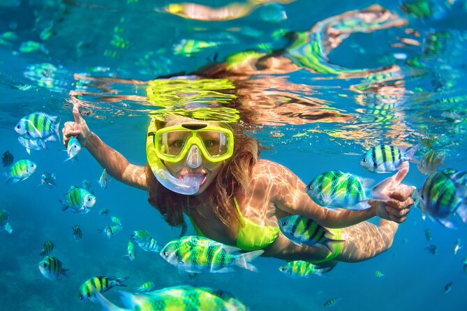 Waikiki Green Sea Turtle Snorkeling Tour - Boat Excursion - Inside the 50-Foot Catamaran: What Comfort Looks Like at Sea