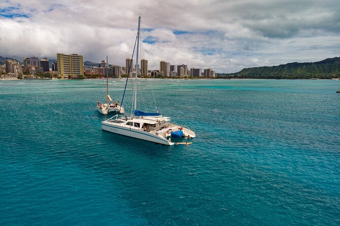 Waikiki Panorama Sail: Search for Hawaiian Sea Turtles - Sea Turtle Search Tactics and Other Wildlife You Might Spot