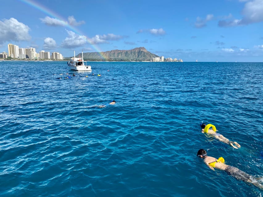 Waikiki: Sea Turtle Snorkeling, Small Group Boat Tour - Beyond turtles: dolphins, whales, and Diamond Head photos