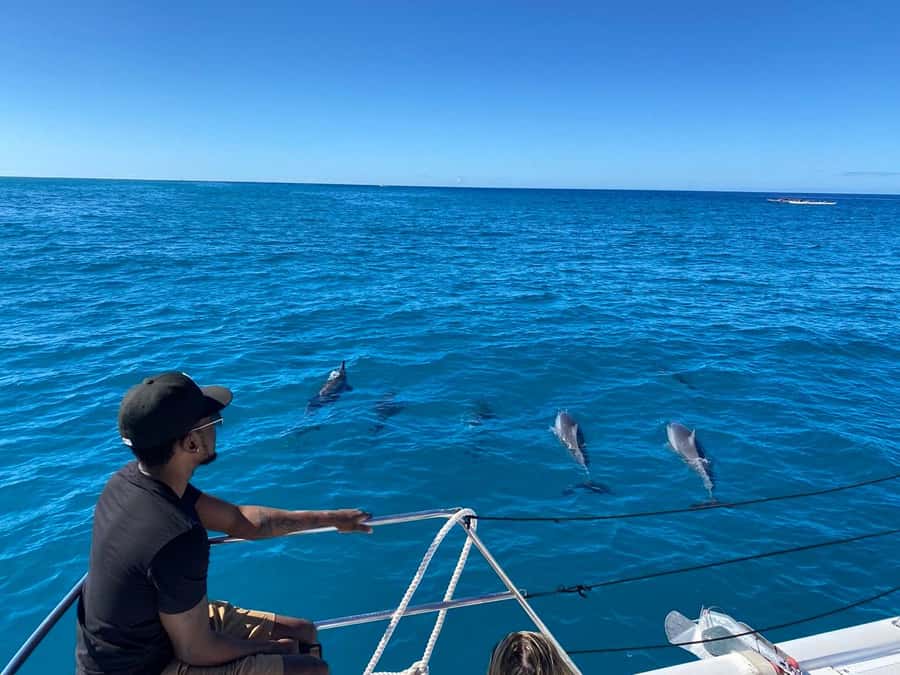 Waikiki: Sea Turtle Snorkeling, Small Group Boat Tour - Who this is for (and who should skip it)