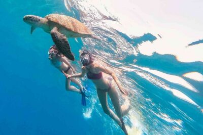 Waikiki Snorkeling Adventures with E Sea Diver! - What you’re actually seeing: fish, turtles, and why conditions matter
