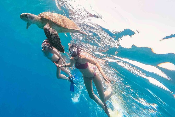 Waikiki Snorkeling Adventures with E Sea Diver! - What you’re actually seeing: fish, turtles, and why conditions matter